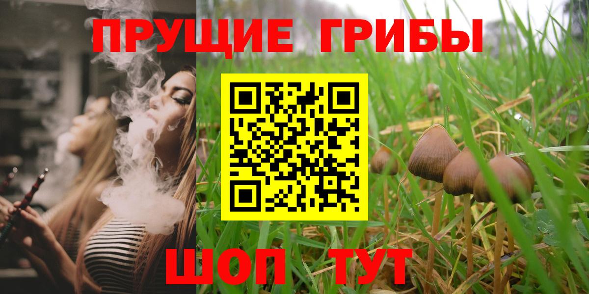 Галлюциногенные грибы Psilocybine cubensis  Вход с VPN  Мытищи 